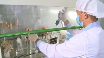 通城縣質檢中心 精準檢測，為企護航，把好產品質量與室內環境安全關