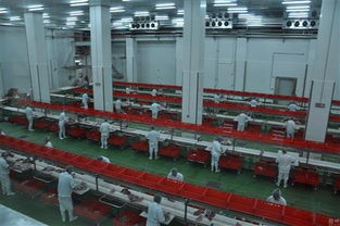 一個(gè)項(xiàng)目能否支撐羅牛山股價(jià)？海口軟件開(kāi)發(fā)成關(guān)鍵焦點(diǎn)